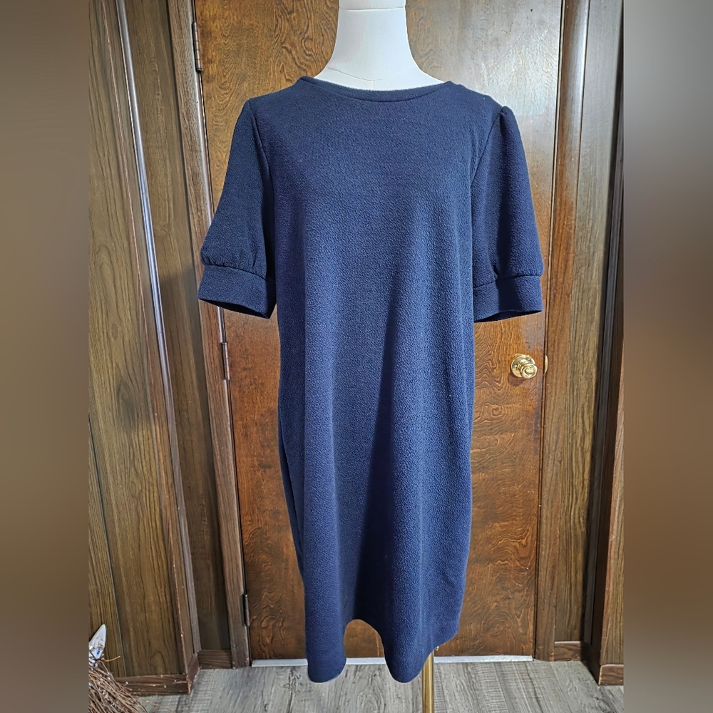 LOFT Navy Blue Textured Dress